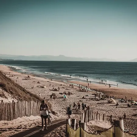 Alma Libre Yoga & Surf House *