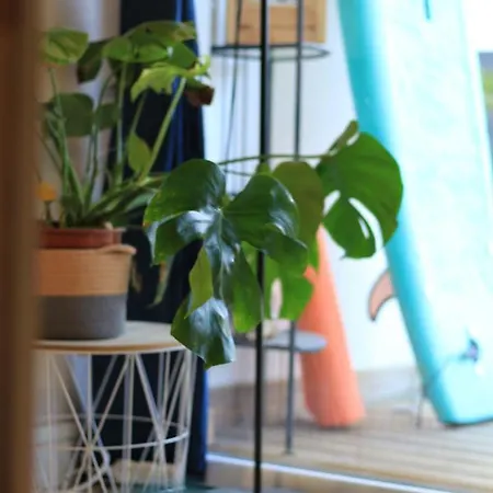 Alma Libre Yoga & Surf House Couette-café *