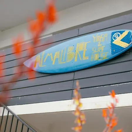 Alma Libre Yoga & Surf House *